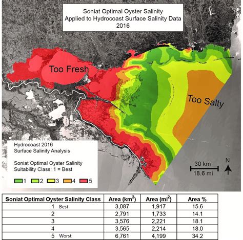 Studying Oyster Habitat Suitability In The Pontchartrain Basin