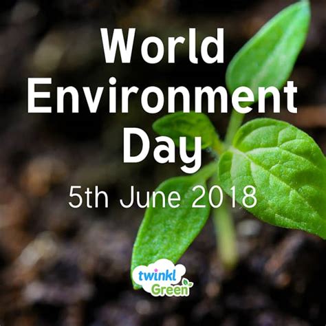 What Is World Environment Day Teaching Resources Twinkl Blog