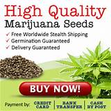 Buy Medical Marijuana Seeds Images