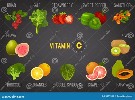 Vitamin C In Food 01 Stock Vector Illustration Of Briar 85881582