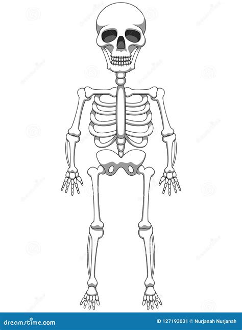 Halloween Skeleton Cartoon