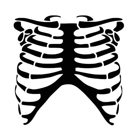 Skeleton Rib Cage Template Printable Web Check Out Our Skeleton Rib