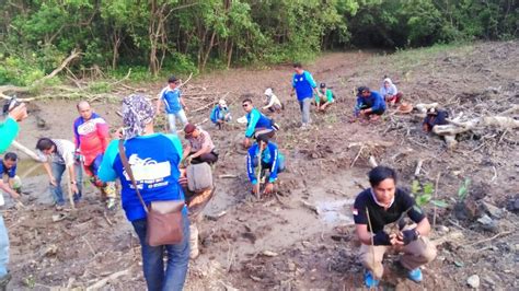 Lingkungan Hidup Official Website Pemerintah Kab Tanjung Jabung Timur