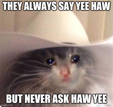 Image Tagged In Sad Cowboy Cat Imgflip