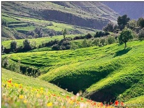 On retrouve un paysage aux caractéristiques similaires sur les plateaux de la petite kabylie et du constantinois méridional, entre sétif et oum el bouaghi. photo paysage kabylie #2