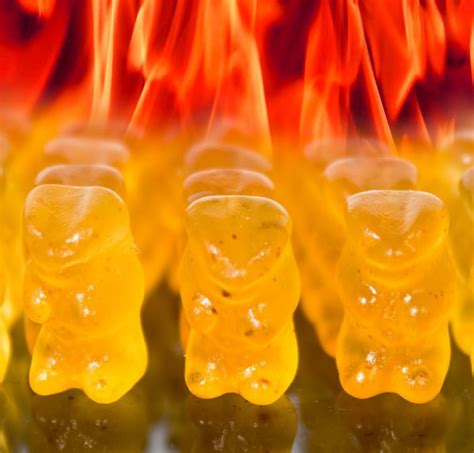 Evil Hot Gummi Bears 250g At Mighty Ape Nz