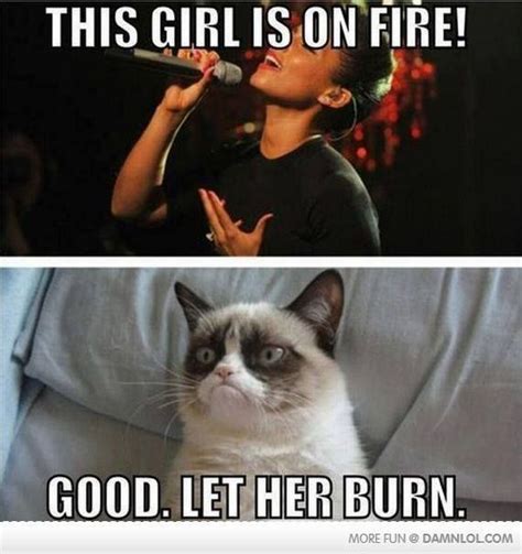 Burn Baby Burn Grumpy Cat Humor Grumpy Cat Quotes Grumpy Cat