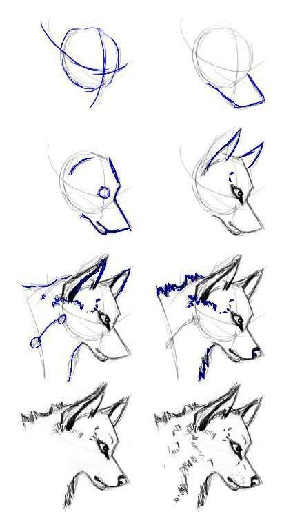 10+ lobo dibujo facil para niños