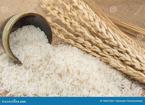 Rice Grain In Bowl On Table Stock Photo Image Of Diet Healthy 70641926