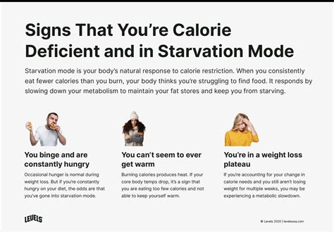Is Starvation Mode Real The Truth About Metabolic Slowdown Levels