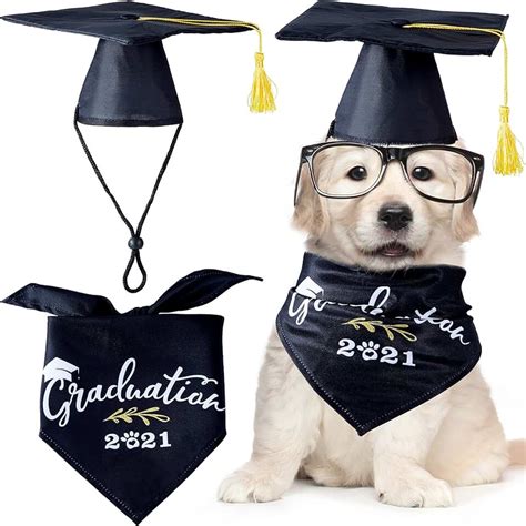 Dog Graduation Cap And Gown