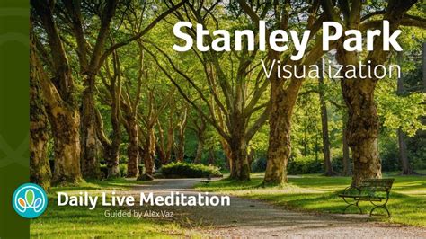 Daily Live Meditation A Path To Your Inner Peace And Wellness The
