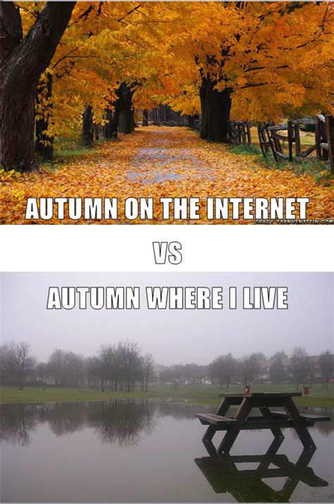 Autumn Funny
