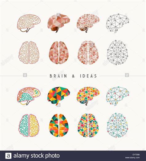 Set Of Colorful Brains And Ideas Elements Concept Illustration Ideal