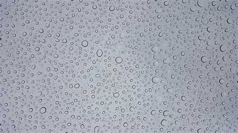 Hd Wallpaper Selective Focus Photography Of Water Droplets Texture Rain Wallpaper Flare