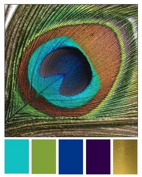 Peacock Color Chart Peacock Color Scheme Peacock Colors Color Schemes