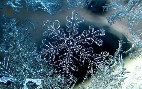 Nature Snowflake Hd Wallpaper