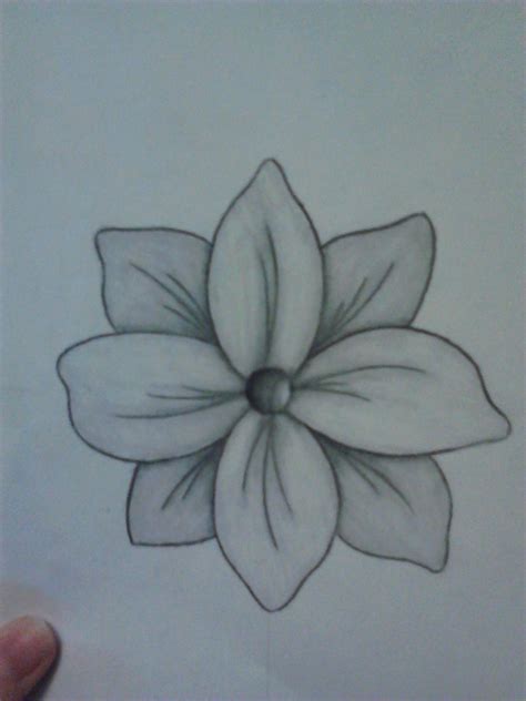 Simple Easy Flower Drawings In Pencil
