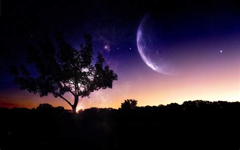 Nature Digital Art Trees Night Sky Planet Photo Manipulation