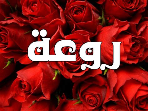 3 عبارات على الجدران في الشوارع. صور مكتوب عليها روعة , اول مرة اشوف اسم روعه جميل كدة - صور حب