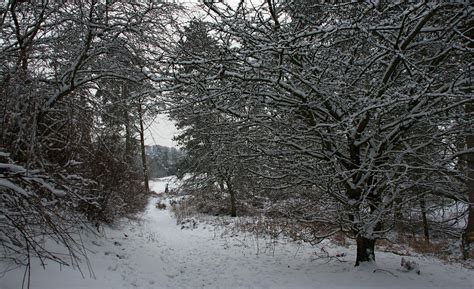 A Snowy Woodland Path A Snowy Woodland Path In Cowden Hall Flickr
