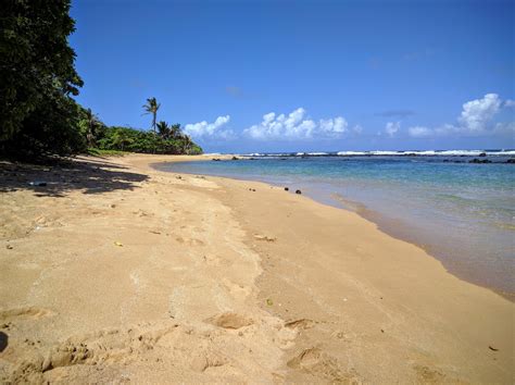 Papaa Bay Beach Anahola Hawaii On The Map With Photos And Reviews🏖️