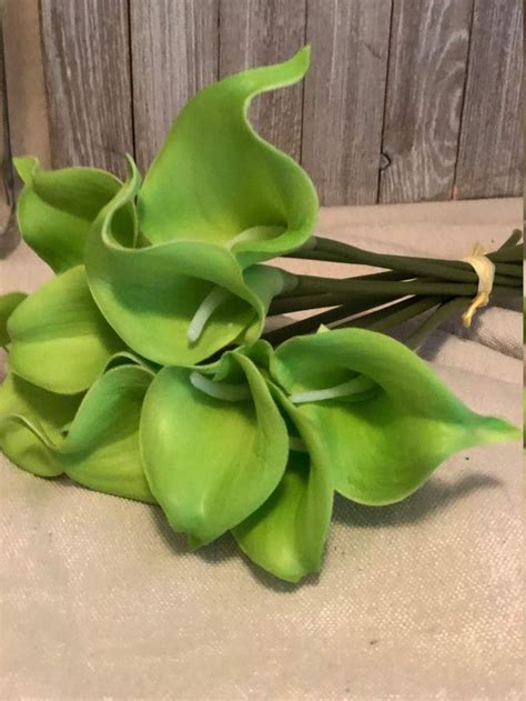 Real Touch Lime Green Calla Lily Stems In Calla Lily Flower
