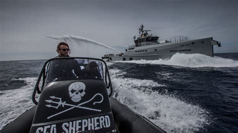 Sea Shepherd Offers The Faroe Islands One Million Euros To End The