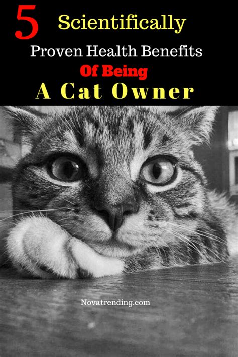 Scientifically Proven Health Benefits Of Being A Cat Owner Cat Owners Cats Health Benefits