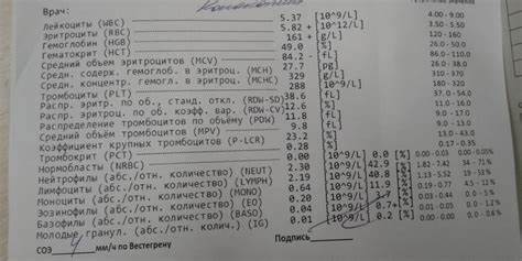 Жировой гепатоз диета по певзнеру