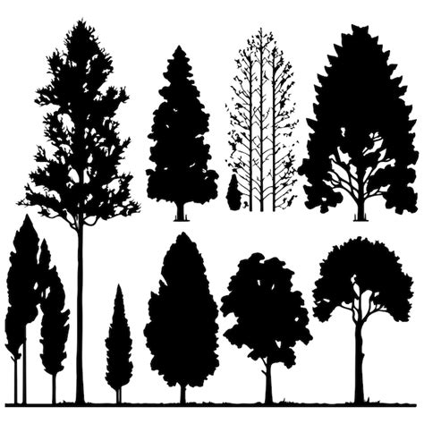 Premium Vector Group Of Trees Silhouette Tree Silhouette Vector