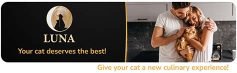 Luna Premium Lickable Cat Treats 12 X 12g 100 Natural Creamy Kitten