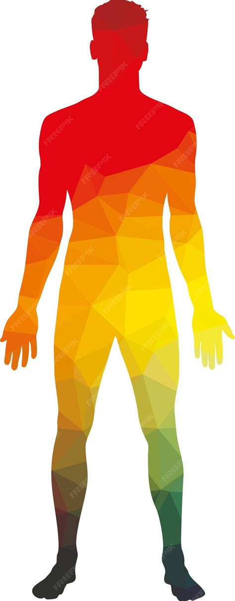 Premium Vector Vector Image Of Colored Silhouette Of Human Body