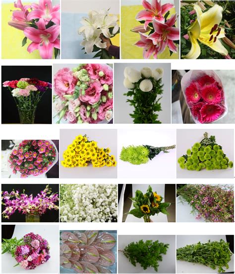 Our fresh flowers wholesale are fresh cut and specially packed each and every time. Directly Wholesale Fresh Cut Flowers With Cheaper Price Of ...