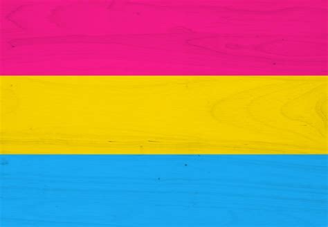 The Pansexual Flag History And Facts Palgrave Macmillan Bookshop