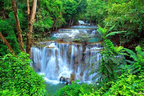 Forest Waterfall Wallpaper And Background Image 1600x1067