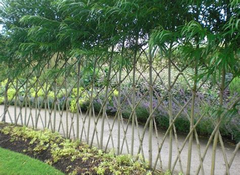 Agriculture And Farming Osage Orange Living Fence