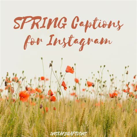 150 Best Spring Instagram Captions 2023
