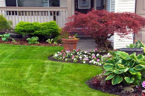 Department of agriculture hardiness zones 5 to 8. dwarf japanese maple - Google Search | Maple tree ...