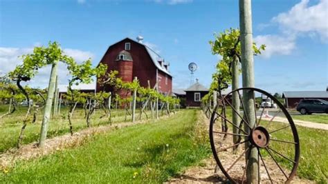 Door County Day Trips A Review Of Every Amazing Winery In Northern