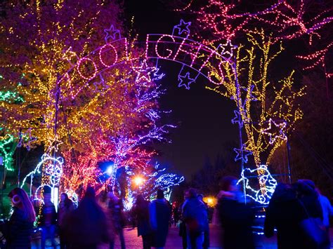 Where To See Holiday Light Displays In Washington Dc This December
