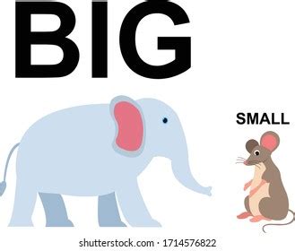 Big Small Comparison Kids Vector Illustration Vector có sẵn miễn phí