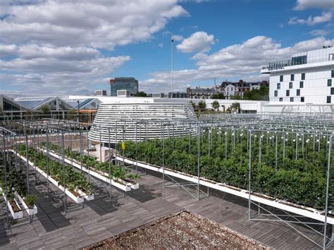 Inside The Worlds Largest Urban Rooftop Farm — Agritecture
