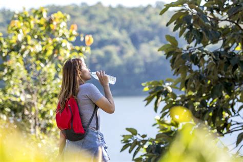 Health and Wellness Tips: Staying Healthy When You Travel ...