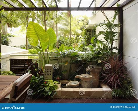Interior Design Garden Stock Image Image Of Wall Contemporary 2595827