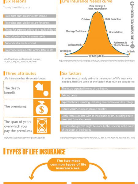Life Insurance Infographic Visually