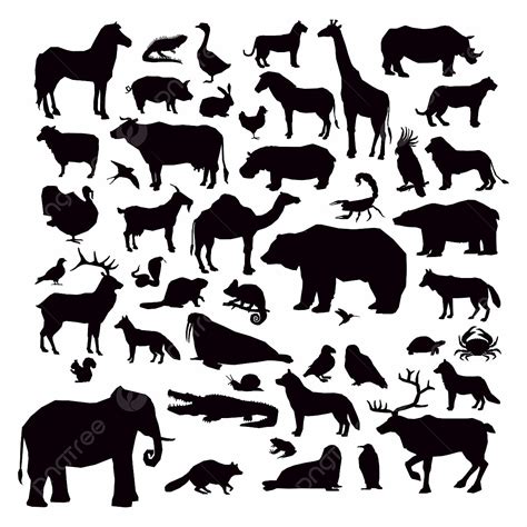 Animal Silhouette Vector Free Download Free Graphics Stuff For All