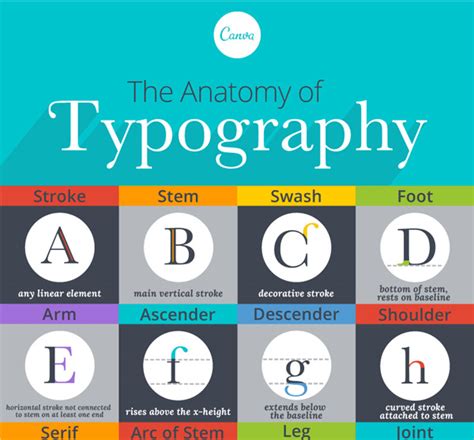 25 Interesting Typography Infographics Designmantic The Design Shop