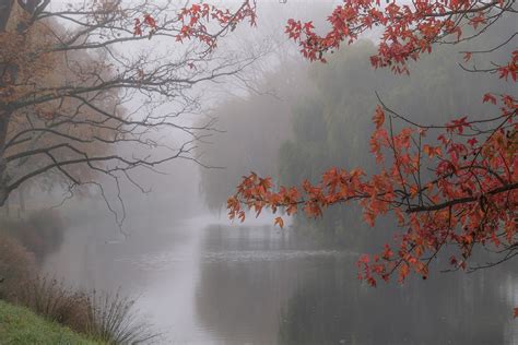 Foggy Autumn Day Mpp26 Blipfoto