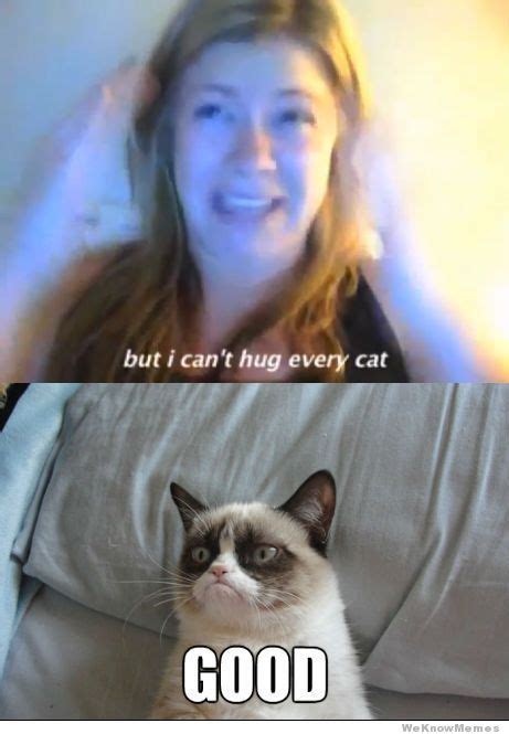 But I Cant Hug Every Cat Weknowmemes Funny Grumpy Cat Memes